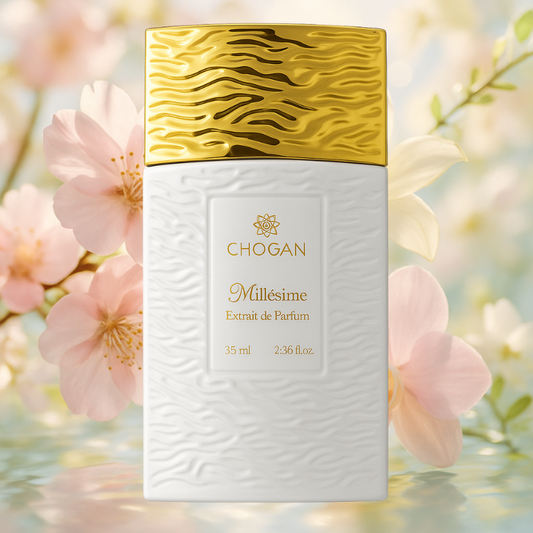 Chogan 263 (063) - Segreto di Luce